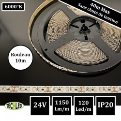 BANDE LED 24V SMD2835 120LEDs/m CC_Strip 9.6W/m 6000°K IP20 10m