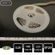 BANDE LED 12V Tangentielle - SMD335 - 120LEDs/m 9.6W/m 8000°K 5m IP20